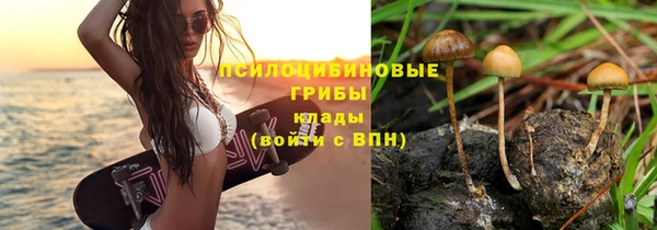 скорость Богородск