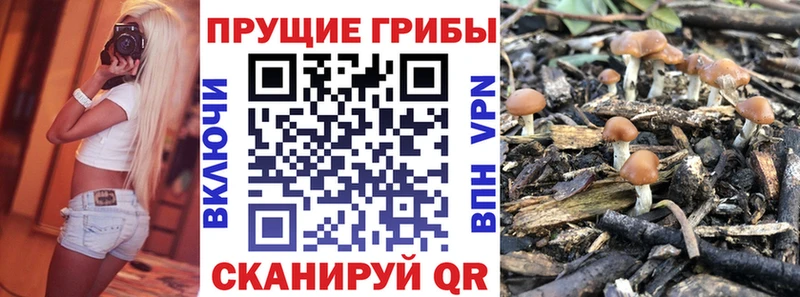 Галлюциногенные грибы ЛСД  как найти закладки  Ялуторовск 